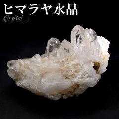  NX^[ q} Y N }i 88g NX^[ q} NX^[ VR p[Xg[   VR u