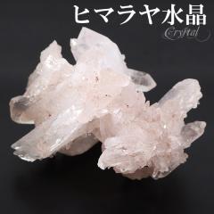  NX^[ q} Y N }i 53g NX^[ q} NX^[ VR p[Xg[   VR u