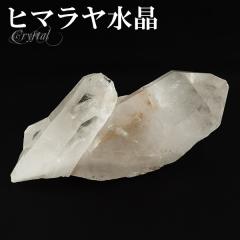 ���� �N���X�^�[ �q�}���� �Y �N�� �}�i�� ��149g �����N���X�^�[ �q�}�������� �q�}�����Y �V�R�� �p���[�X�g�[�� �� ���� �V�R���� 