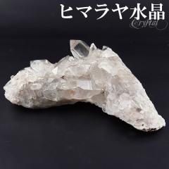  NX^[ q} Y N }i 206g NX^[ q} VR p[Xg[   VR NH[c u