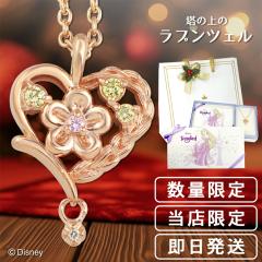 fBYj[ X vcF lbNX ̏̃vcF   ItBV fBYj[vZX Disney ObY _C