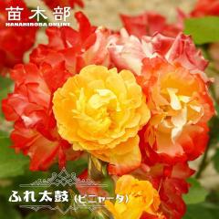 �l�G�炫��o�� �y�ӂꑾ�� �i�s�j���[�^�j�z 2�N����c