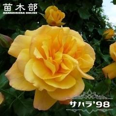 �l�G�炫��o�� �y�T�n�� �f98�z 1�N���V�c 3.5���|�b�g�c