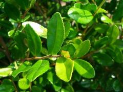 �y�n�}�q�T�J�L�z 5���|�b�g�c