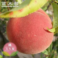 �� �c�� �y��v�ہz 1�N���ږؕc