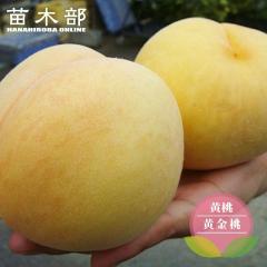 �� �c�� �y�������z ���� 1�N���ږؕc