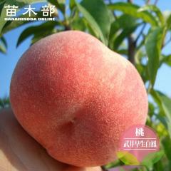 �� �c�� �y���䑁�����P�z 1�N���ږؕc