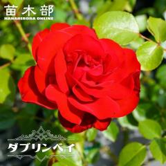 �l�G�炫��o�� �y�_�u�����x�C�z 2�N����c