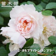�J��Ԃ��炫��o�� �y�W�I���u���C�g�������u���[�z 2�N����c �o�^�i��E�i��o�^