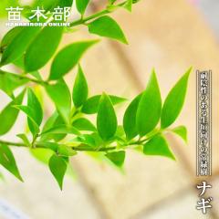 �i�M 4�� ���� ���A��