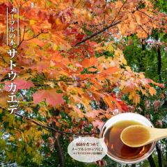 �T�g�E�J�G�f 3.5���|�b�g�c �y�n�i�q���o�����[�z