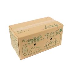 �r�W�����s�[�N�X VISIONPEAKS  ������  CEDER FIREWOOD �V�_ �t�@�C�A�E�b�h ���̐d VP160506L02