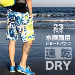 Ԍ SALE V[gpc Zp n[tpc hC  p  #Pant224 V[c C r[` DRY M