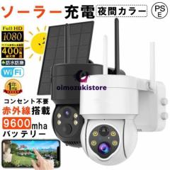 大進 DLA-RD300-SL LED センサーライト付き ワイヤレス 防犯カメラ Wi