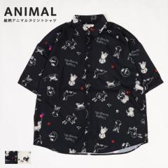 �J�W���A���V���c �����Y ���f�B�[�X ���� �v�����g�V���c ������� ���킢�� ���� ���� �� ���� �_�b�N�X�� �ڐG�⊴ �ڐG �⊴ �V��