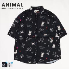 �J�W���A���V���c �����Y ���f�B�[�X ���� �v�����g�V���c ������� ���킢�� ���� ���� �L�� �˂� �ڐG�⊴ �ڐG �⊴ �V���c �Ƃ�� 