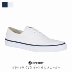 Xy[ Sperry gbvTC_[ topsider Xy[gbvTC_[ SPERRY TOP SIDER cloud cvo NEh Xj[J[ Y uh 