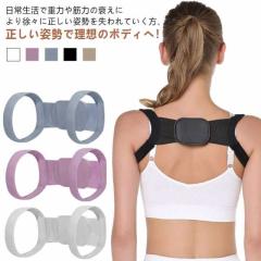 コジット 極薄からだととのう姿勢サポーター Lサイズ【送料無料】の