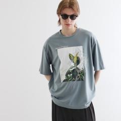 �e�B�[�P�[ �^�P�I�L�N�`�itk�DTAKEO KIKUCHI�j/�t�����[�v�����gT�V���c