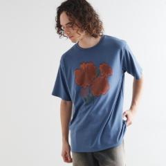 �e�B�[�P�[ �^�P�I�L�N�`�itk�DTAKEO KIKUCHI�j/�{�J�V�t�����[T�V���c