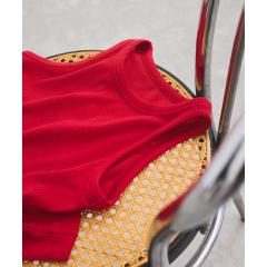 �r�X�iVIS�j/�A�����J���X���[�u�e���R�^���N�g�b�v