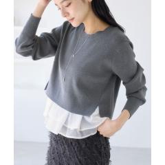 �r�X�iVIS�j/�y�v�����I�[�K���W�[�h�b�L���O�j�b�g�v���I�[�o�[