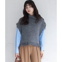 �r�X�iVIS�j/�{�^���f�U�C���|���`���x�X�g