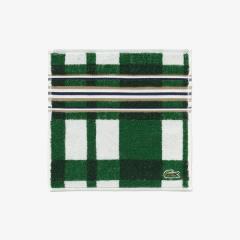 ���R�X�e�iLACOSTE�j/�`�F�b�N&�{�[�_�[�^�I���n���J�`