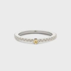 �m�W�F�X�iNOJESS�j/�V���o�[�V�g�����s���L�[�����O