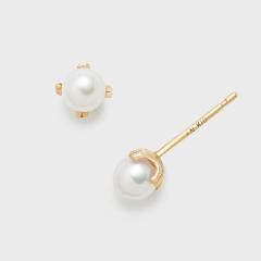 �m�W�F�X�iNOJESS�j/K10�p�[���s�A�X