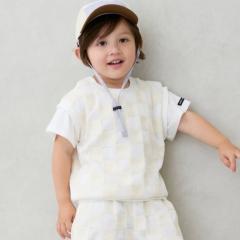 �v�e�B�}�C���ipetit main�j/�X�N�G�A�h���イ�h�b�L���O����T�V���c