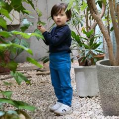 �v�e�B�}�C���ipetit main�j/�yLee�z�̂т̂уJ�b�g���M���X