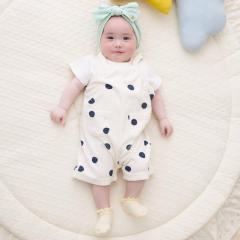 �v�e�B�}�C���ipetit main�j/�p�C���T���y�b�g�Z�b�g