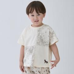�v�e�B�}�C���ipetit main�j/�p�b�`���[�N����T�V���c