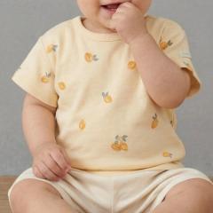 �v�e�B�}�C���ipetit main�j/�y�v�e�B�v��/�x�r�[�T�C�Y�z����T�V���c