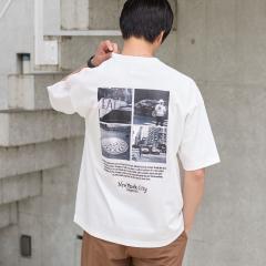 �R�[�G���icoen�j/Sarry Cat�t�H�g�v�����gT�V���c