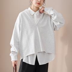 �R�[�G���icoen�j/�L�[�l�b�N���уX�E�F�b�g �v���I�[�o�[