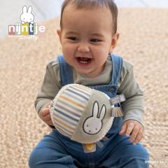 �_�b�h�E�F�C�iDADWAY�j/miffy �~�b�t�B�[ �x�r�[�{�[��/�t���b�t�B�[/�u���[