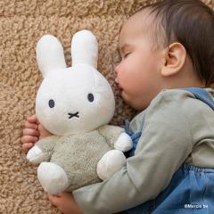 �_�b�h�E�F�C�iDADWAY�j/�ymiffy �~�b�t�B�[�z�ʂ������/25cm/�t���b�t�B�[/�O���[��