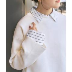 �X�s�b�N���X�p���iSpick and Span�j/�\�t�g�^�C�v���C�^�[�V���c