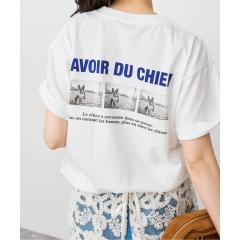 �X�s�b�N���X�p���iSpick and Span�j/�o�b�N�t�H�g�v�����gT