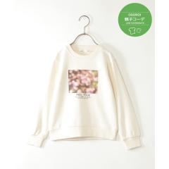 �C�b�J�iikka�j/�y�e�q�R�[�f�z���у��S�t�H�g�v���I�[�o�[�i120?160cm�j