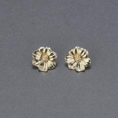 �t�B�[�r�B�[�iPhoebe�j/�t���O�����g�t�����[���^���s�A�X/�ԃ��`�[�t/��Ԃ�