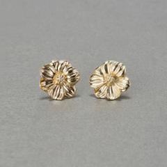 �t�B�[�r�B�[�iPhoebe�j/�t���O�����g�t�����[���^���C�������O�@�ԃ��`�[�t/��Ԃ�