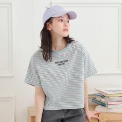 ピンクラテ（PINK－latte）/クロップドボーダーTシャツ