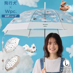 Wpc�D�iWPC�j/�yWpc�D�z�m�r�j�[���P�n��s���~Wpc�D ���ԃ����u���� 61cm �傫�� �P �W�����v�P ���P