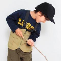 �u�����V�F�X�ibranshes�j/�yLOGOS/���S�X�z branshes����F�c�C���x�X�g