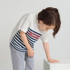 �u�����V�F�X�ibranshes�j/�y�v�`�v��/���傤���������낢�z�{�[�_�[����T�V���c