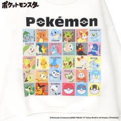 �u�����V�F�X�ibranshes�j/�yPokemon/�|�P�b�g�����X�^�[�i�|�P�����j�z���N�уg���[�i�[