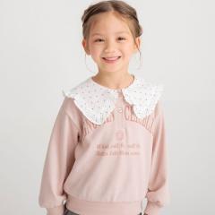 �u�����V�F�X�ibranshes�j/�ݕt�����уg���[�i�[